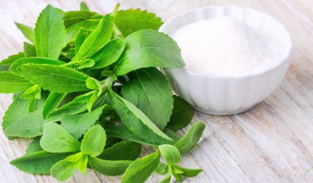 Đường cỏ ngọt (Stevia)