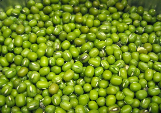 Mung bean protein 80% (Đạm đậu xanh)