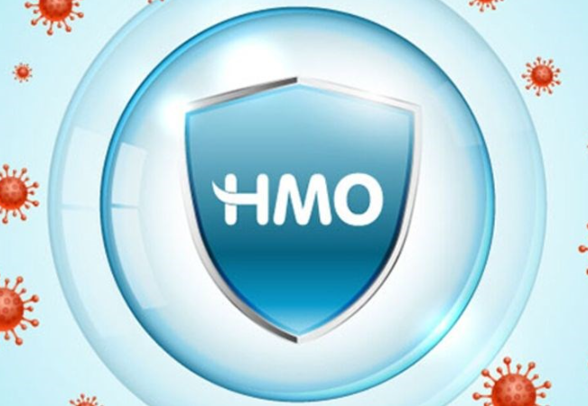 HMO (Human Milk Oligosaccharides)
