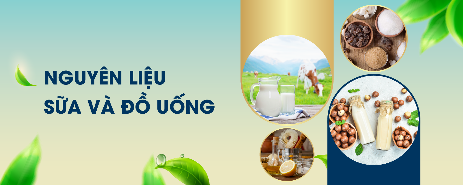 TOWARDS HEALTH COMMUNITY