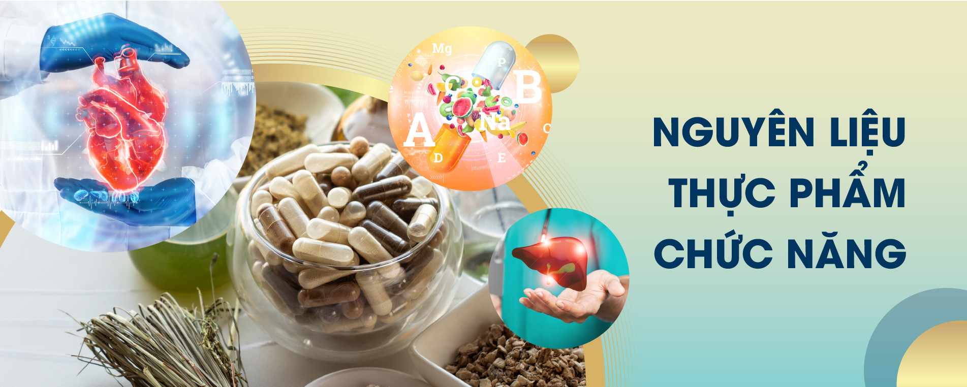 LEADING THE NEW MATERIAL TRENDS WITH FULL CLINICAL RESEACH