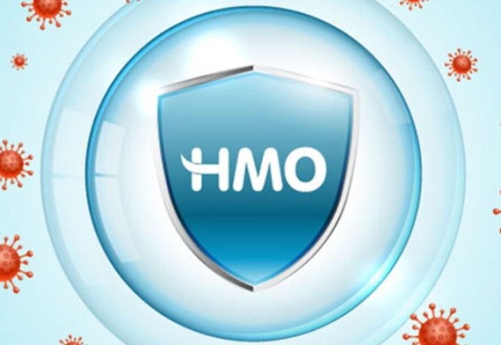 HMO (Human Milk Oligosaccharides)